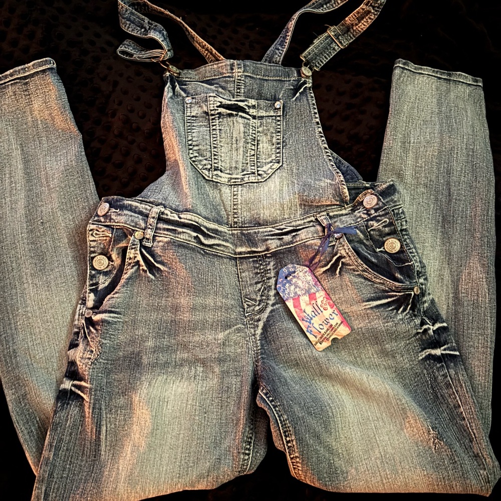 Wallflower Classic Blue Denim Overalls